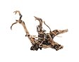 Hobby Kořen Fingerwood Shadow M 30-40cm