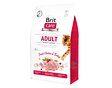 BRIT CARE CAT GF ADULT ACTIVITY SUPPORT 400g