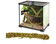 ReptiZoo Jungle Vines Liána s mechem