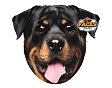 Polštář 3D Rottweiler