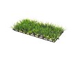 Plant Mat 1 25 x 12,5 cm