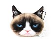 Polštář 3D Grumpy Cat