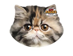 Polštář 3D Persian Cat