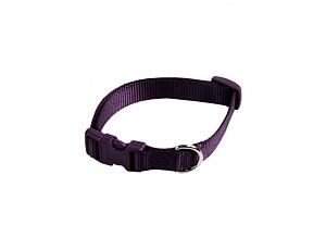 Papillon obojek extra velký jednobarevný 48 - 70 cm - fialový