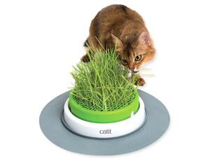 Trávník CAT IT Design Senses 2.0 1 ks