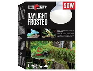 Žárovka REPTI PLANET Daylight Frosted 50W