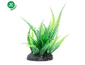 JK akvarijní rostlina - kapradí mini 13 cm