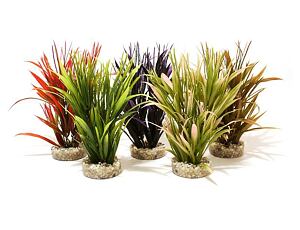 Sydeco Tropical Grass 20 cm mix