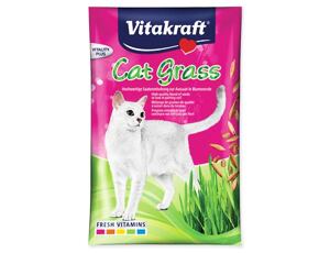 Cat Gras 50 g