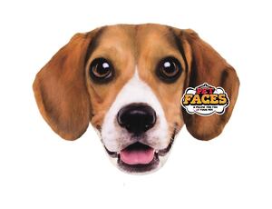 Polštář 3D Beagle