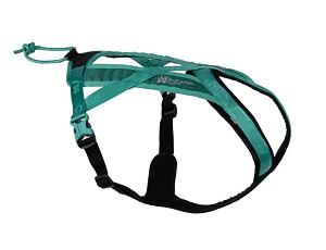 Non-stop Dogwear Rush teal