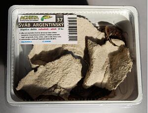 Šváb argentinský 10ks