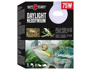 Žárovka REPTI PLANET Daylight Neodymium 75W