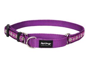 Red Dingo obojek polostahovací se vzorem 41 - 62 cm - Daisy Chain Purple