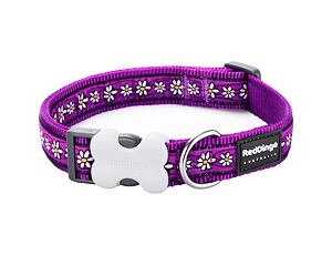 Obojek RD 20 mm x 30-47 cm - Daisy Chain Purple