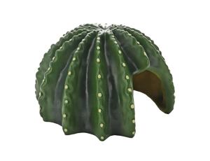 Cactus Home 2