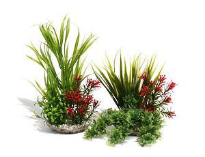 Sydeco Natural Bouquet Large 23 cm