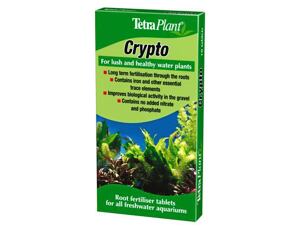 TETRA Crypto 10 tablet
