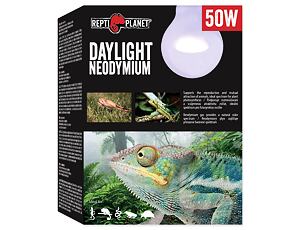 Žárovka REPTI PLANET Daylight Neodymium 50W