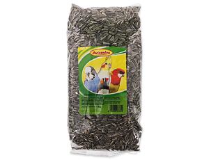 Slunečnice AVICENTRA žíhaná 1 kg