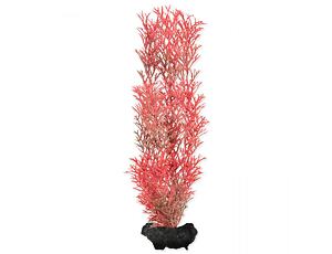 Rostlina TETRA Foxtail Red M