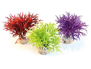 Sydeco Water Fern Flexible 25 cm - zelená
