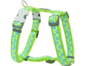 Postroj RD 25 mm x 71-113 cm - Stars Turquoise