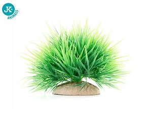 JK akvarijní rostlina - Tráva mini zelená 7 cm