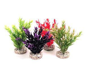 Sydeco Fiesta Ruscus 18 cm mix