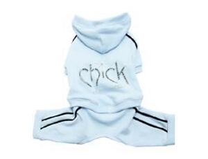Puppy Angel Chick PA oblek - modrý