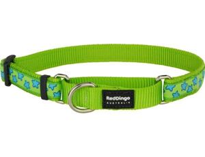 Red Dingo obojek polostahovací se vzorem 41 - 62 cm - Stars Turquoise on Lime Green