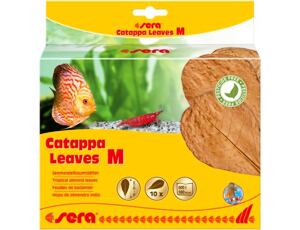 Sera Catappa Leaves M 16-20 cm 10 ks