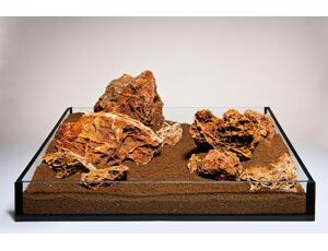 Maple Leaf Rock S
