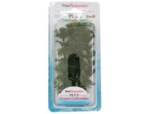Rostlina Green Cabomba Plus 23 cm
