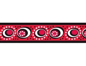 Red Dingo Obojek pro kočky 20 - 32 cm - Cosmos Red