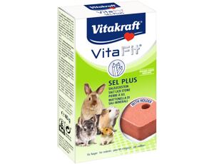 VITAFIT SEL PLUS SOLNÝ KÁMEN 1KS /10