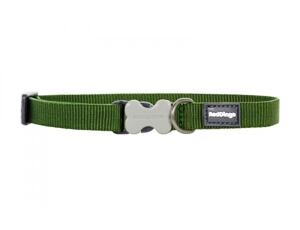 Red Dingo obojek jednobarevný 20 - 32 cm, šířka 12 mm - zelená