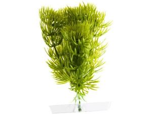 JK AQUARIUM akvarijní rostlinka - Anacharis mini