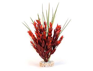 Sydeco Red Ruscus Large 25 cm