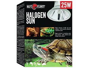 Žárovka REPTI PLANET Halogen Sun 25W