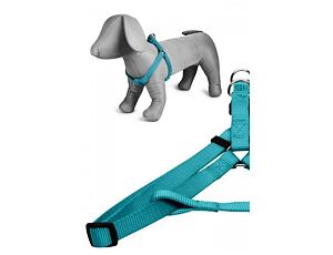 Papillon postroj velký jednobarevný 46 - 75 cm - tyrkysový