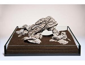 Mini Landscape M