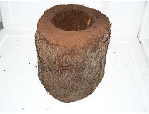 Xaxim dutiny kola 20cm