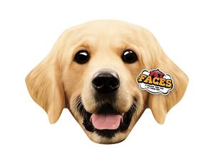 Polštář 3D Golden Retriever