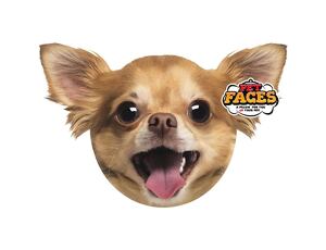 Polštář 3D Chihuahua