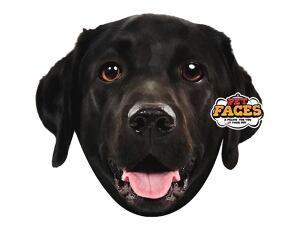 Polštář 3D Black Labrador