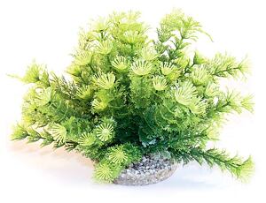 Sydeco Marina Bowl 21 cm