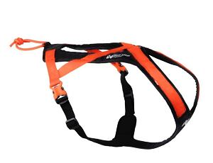 Non-stop Dogwear Rush černo/oranžový