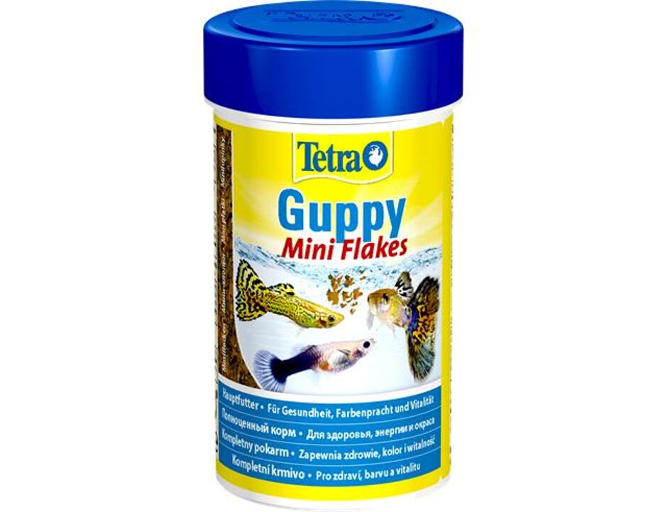 Tetra Guppy Food 100 ml