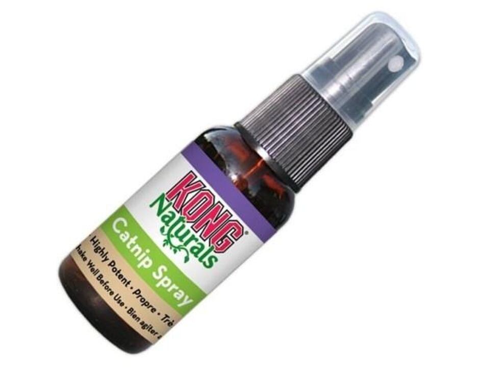 Catnip spray Kong 30 ml